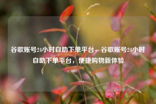 谷歌账号24小时自助下单平台，谷歌账号24小时自助下单平台，便捷购物新体验