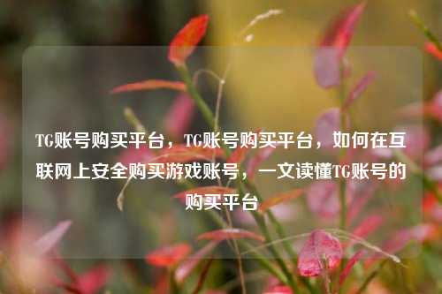 TG账号购买平台，TG账号购买平台，如何在互联网上安全购买游戏账号，一文读懂TG账号的购买平台