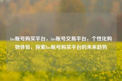 ins账号购买平台，ins账号交易平台，个性化购物体验，探索Ins账号购买平台的未来趋势
