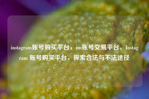 instagram账号购买平台，ins账号交易平台，Instagram 账号购买平台，探索合法与不法途径