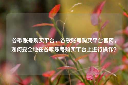 谷歌账号购买平台，谷歌账号购买平台官网，如何安全地在谷歌账号购买平台上进行操作？