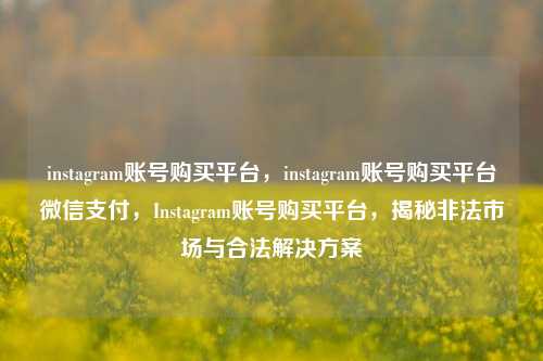 instagram账号购买平台，instagram账号购买平台微信支付，Instagram账号购买平台，揭秘非法市场与合法解决方案
