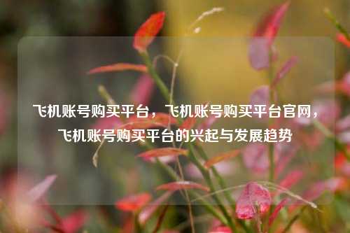 飞机账号购买平台，飞机账号购买平台官网，飞机账号购买平台的兴起与发展趋势