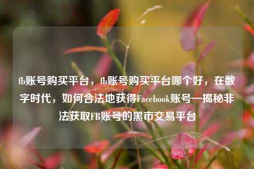 fb账号购买平台，fb账号购买平台哪个好，在数字时代，如何合法地获得Facebook账号—揭秘非法获取FB账号的黑市交易平台