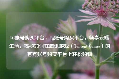 TG账号购买平台，Tg账号购买平台	，畅享云端生活，揭秘如何在腾讯游戏（Tencent Games）的官方账号购买平台上轻松购物  第1张