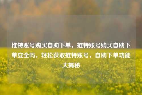 推特账号购买自助下单，推特账号购买自助下单安全吗，轻松获取推特账号，自助下单功能大揭秘