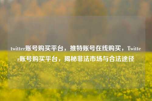 twitter账号购买平台，推特账号在线购买，Twitter账号购买平台，揭秘非法市场与合法途径