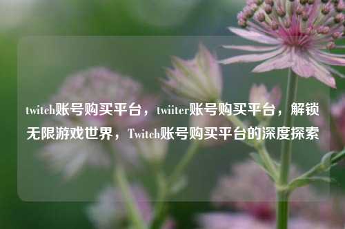twitch账号购买平台，twiiter账号购买平台，解锁无限游戏世界，Twitch账号购买平台的深度探索