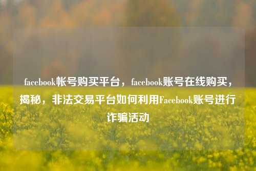 facebook帐号购买平台，facebook账号在线购买，揭秘，非法交易平台如何利用Facebook账号进行诈骗活动