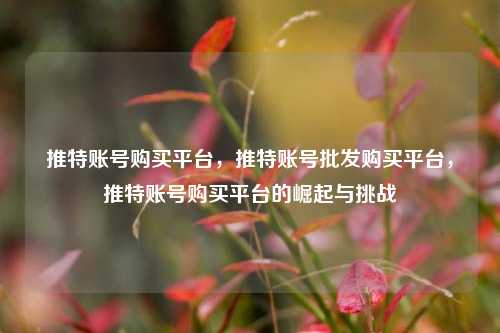 推特账号购买平台，推特账号批发购买平台，推特账号购买平台的崛起与挑战