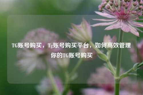 TG账号购买，Tg账号购买平台，如何高效管理你的TG账号购买