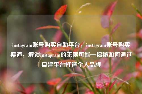 instagram账号购买自助平台，instagram账号购买渠道，解锁Instagram的无限可能—揭秘如何通过自建平台打造个人品牌