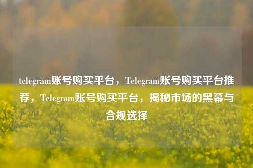 telegram账号购买平台，Telegram账号购买平台推荐，Telegram账号购买平台，揭秘市场的黑幕与合规选择