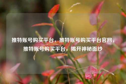 推特账号购买平台，推特账号购买平台官网，推特账号购买平台，揭开神秘面纱