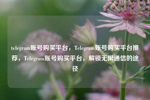 telegram账号购买平台，Telegram账号购买平台推荐，Telegram账号购买平台，解锁无限通信的途径