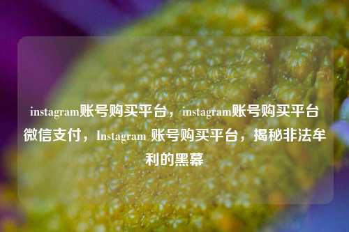 instagram账号购买平台，instagram账号购买平台微信支付，Instagram 账号购买平台，揭秘非法牟利的黑幕