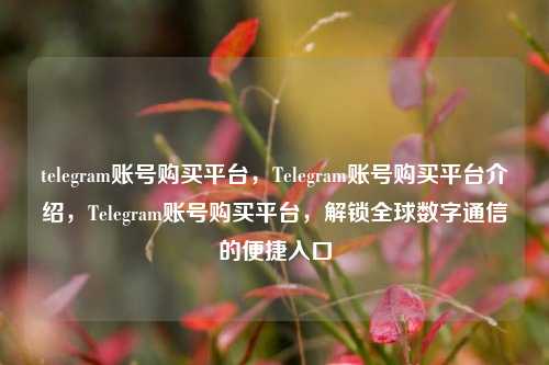 telegram账号购买平台，Telegram账号购买平台介绍，Telegram账号购买平台，解锁全球数字通信的便捷入口