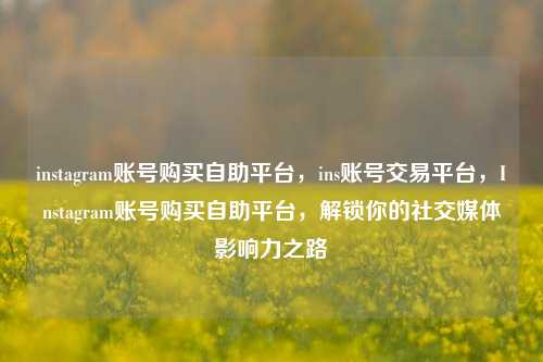 instagram账号购买自助平台，ins账号交易平台，Instagram账号购买自助平台，解锁你的社交媒体影响力之路