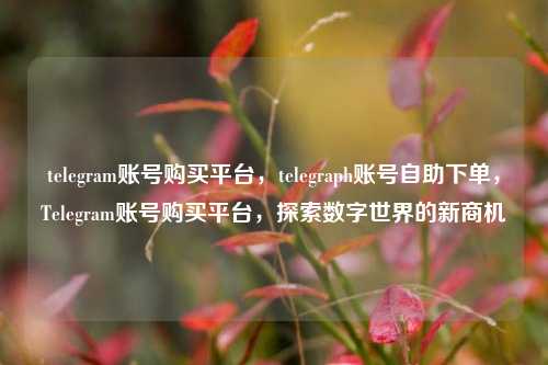 telegram账号购买平台，telegraph账号自助下单，Telegram账号购买平台，探索数字世界的新商机