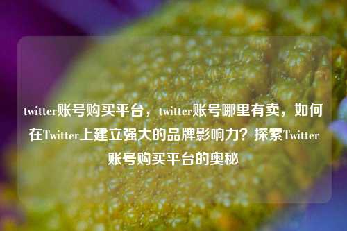 twitter账号购买平台，twitter账号哪里有卖，如何在Twitter上建立强大的品牌影响力？探索Twitter账号购买平台的奥秘
