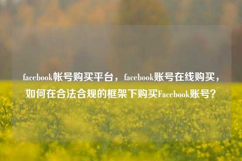 facebook帐号购买平台，facebook账号在线购买，如何在合法合规的框架下购买Facebook账号？