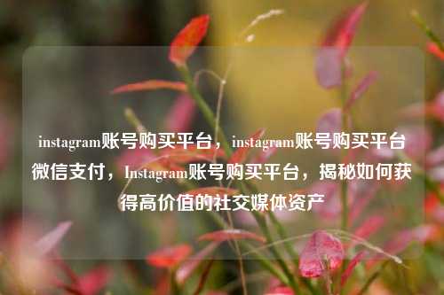 instagram账号购买平台，instagram账号购买平台微信支付，Instagram账号购买平台，揭秘如何获得高价值的社交媒体资产