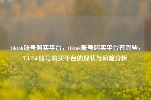 tiktok账号购买平台，tiktok账号购买平台有哪些，TikTok账号购买平台的现状与风险分析