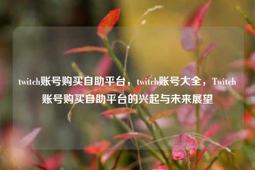 twitch账号购买自助平台，twitch账号大全，Twitch账号购买自助平台的兴起与未来展望