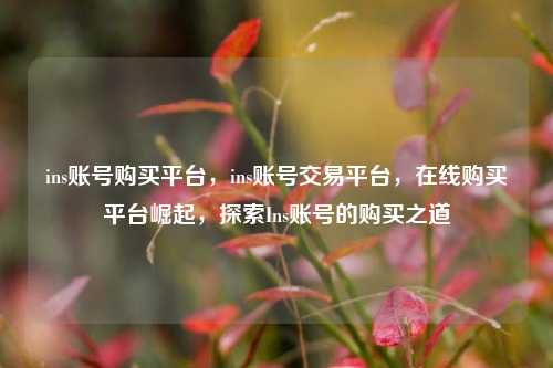ins账号购买平台，ins账号交易平台，在线购买平台崛起，探索Ins账号的购买之道