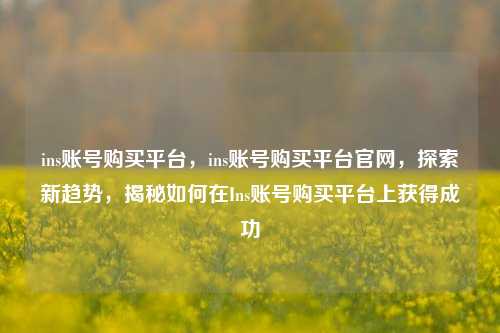 ins账号购买平台，ins账号购买平台官网，探索新趋势，揭秘如何在Ins账号购买平台上获得成功