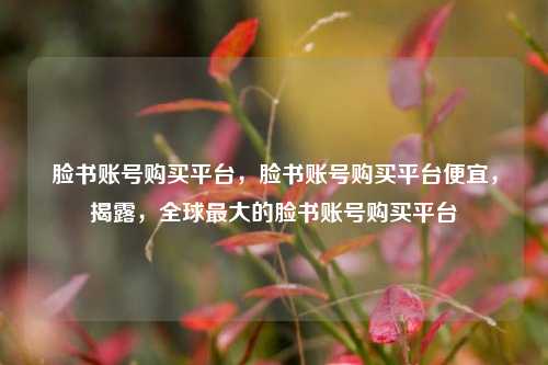 脸书账号购买平台，脸书账号购买平台便宜，揭露，全球最大的脸书账号购买平台