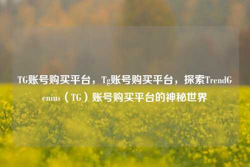 TG账号购买平台，Tg账号购买平台，探索TrendGenius（TG）账号购买平台的神秘世界