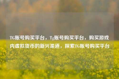 TG账号购买平台，Tg账号购买平台，购买游戏内虚拟货币的新兴渠道，探索TG账号购买平台