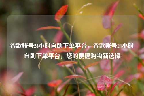 谷歌账号24小时自助下单平台，谷歌账号24小时自助下单平台，您的便捷购物新选择