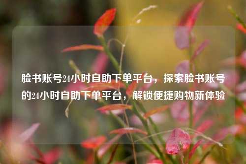 脸书账号24小时自助下单平台，探索脸书账号的24小时自助下单平台，解锁便捷购物新体验