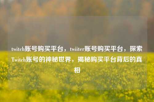 twitch账号购买平台，twiiter账号购买平台，探索Twitch账号的神秘世界，揭秘购买平台背后的真相