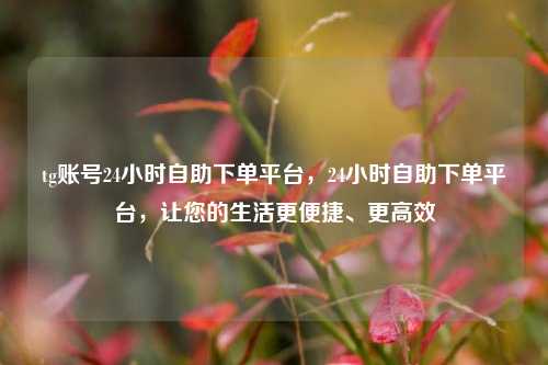 tg账号24小时自助下单平台，24小时自助下单平台，让您的生活更便捷、更高效