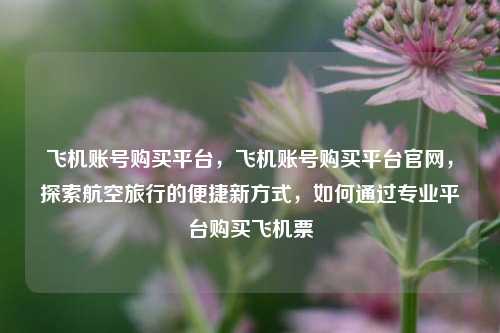 飞机账号购买平台，飞机账号购买平台官网，探索航空旅行的便捷新方式，如何通过专业平台购买飞机票