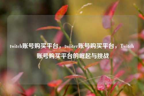 twitch账号购买平台，twiiter账号购买平台，Twitch 账号购买平台的崛起与挑战