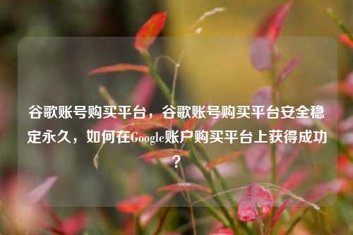 谷歌账号购买平台，谷歌账号购买平台安全稳定永久，如何在Google账户购买平台上获得成功？