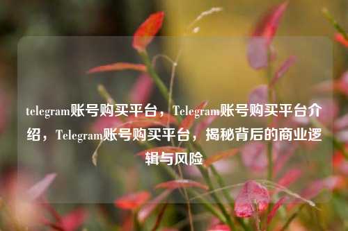 telegram账号购买平台，Telegram账号购买平台介绍，Telegram账号购买平台，揭秘背后的商业逻辑与风险