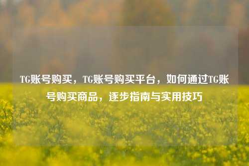 TG账号购买	，TG账号购买平台，如何通过TG账号购买商品，逐步指南与实用技巧  第1张