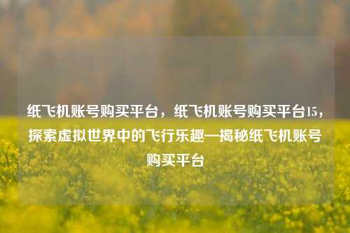 纸飞机账号购买平台，纸飞机账号购买平台15，探索虚拟世界中的飞行乐趣—揭秘纸飞机账号购买平台