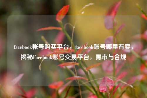 facebook帐号购买平台，facebook账号哪里有卖，揭秘Facebook账号交易平台，黑市与合规