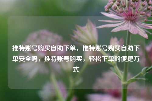 推特账号购买自助下单，推特账号购买自助下单安全吗，推特账号购买，轻松下单的便捷方式