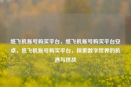 纸飞机账号购买平台，纸飞机账号购买平台安卓，纸飞机账号购买平台，探索数字世界的机遇与挑战