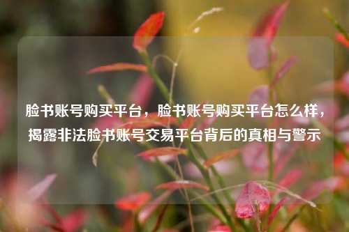 脸书账号购买平台，脸书账号购买平台怎么样，揭露非法脸书账号交易平台背后的真相与警示