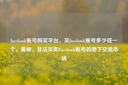 facebook帐号购买平台，买facebook账号多少钱一个，揭秘，非法买卖Facebook账号的地下交易市场
