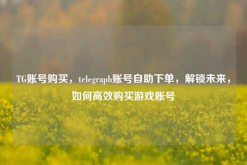 TG账号购买，telegraph账号自助下单，解锁未来，如何高效购买游戏账号