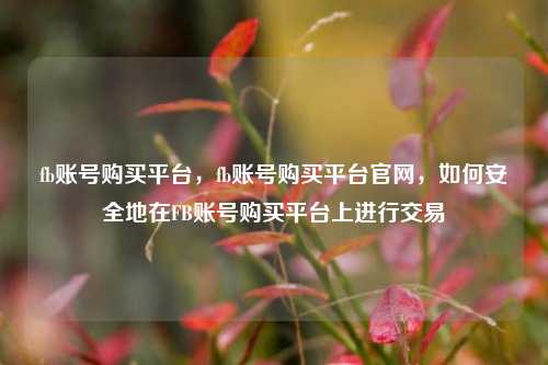 fb账号购买平台，fb账号购买平台官网，如何安全地在FB账号购买平台上进行交易